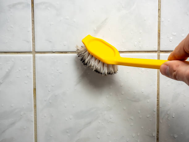Best Professional Mold Removal  in Bertville, AL