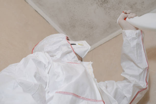 Best Emergency Mold Removal  in Bertville, AL